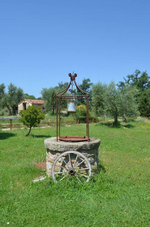 Гостевой дом La Casina Degli Olivi Седжано Экстерьер фото